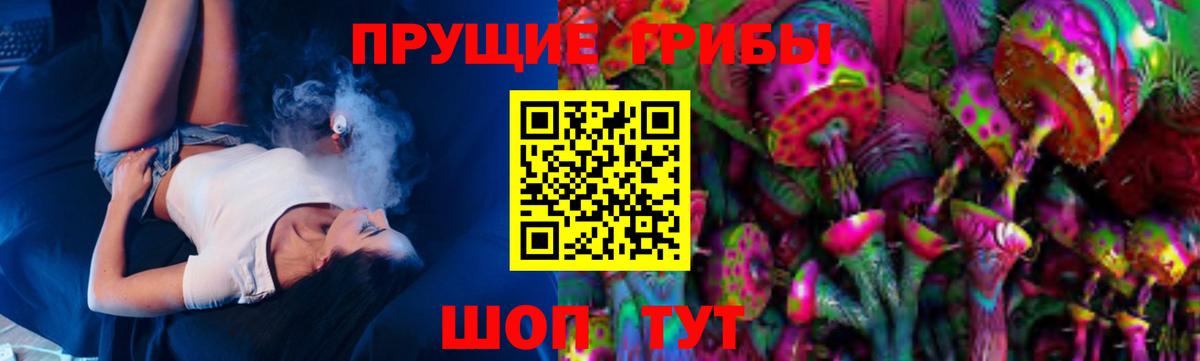 Псилоцибиновые грибы Cubensis Алексин